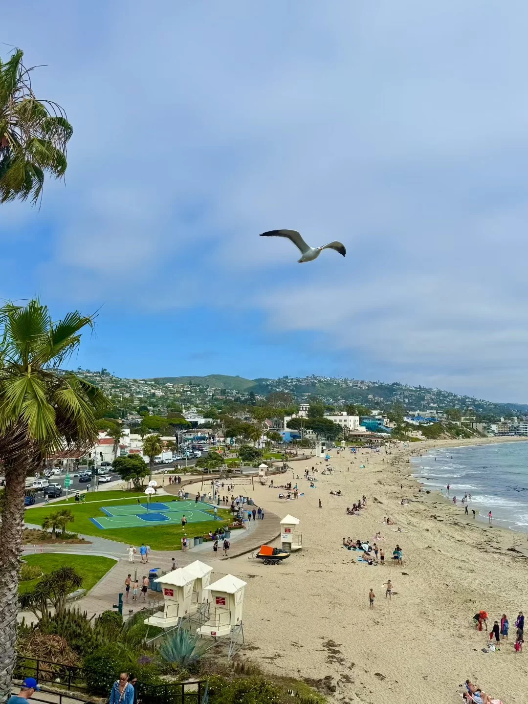 最喜欢的一个laguna beach绝美海滩~??