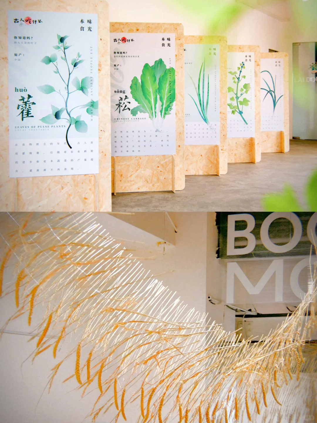 『古人吃什么』又做了一个展