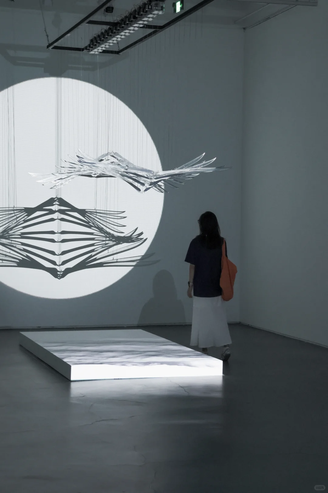 一路向西，走进重美术馆「GIF. 」场景中⚙️