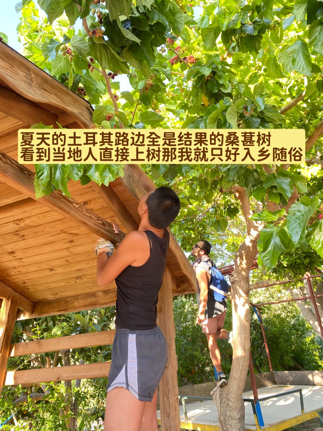 穿衣自由不是露肤的自由而是舒服的自由