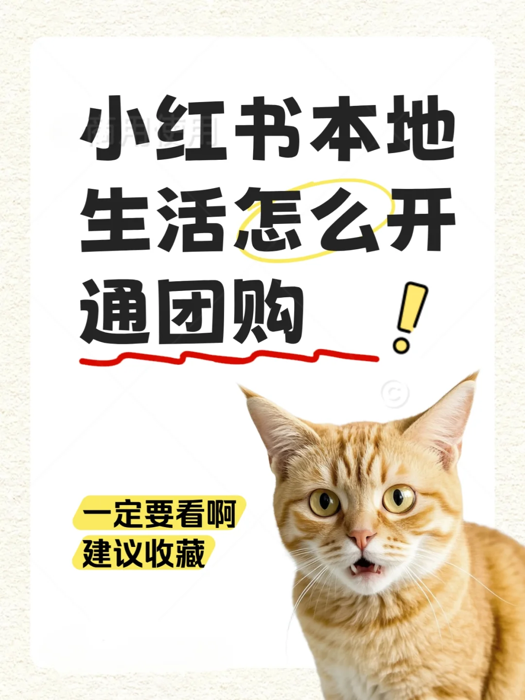 小红书本地生活团购开通指南！！！