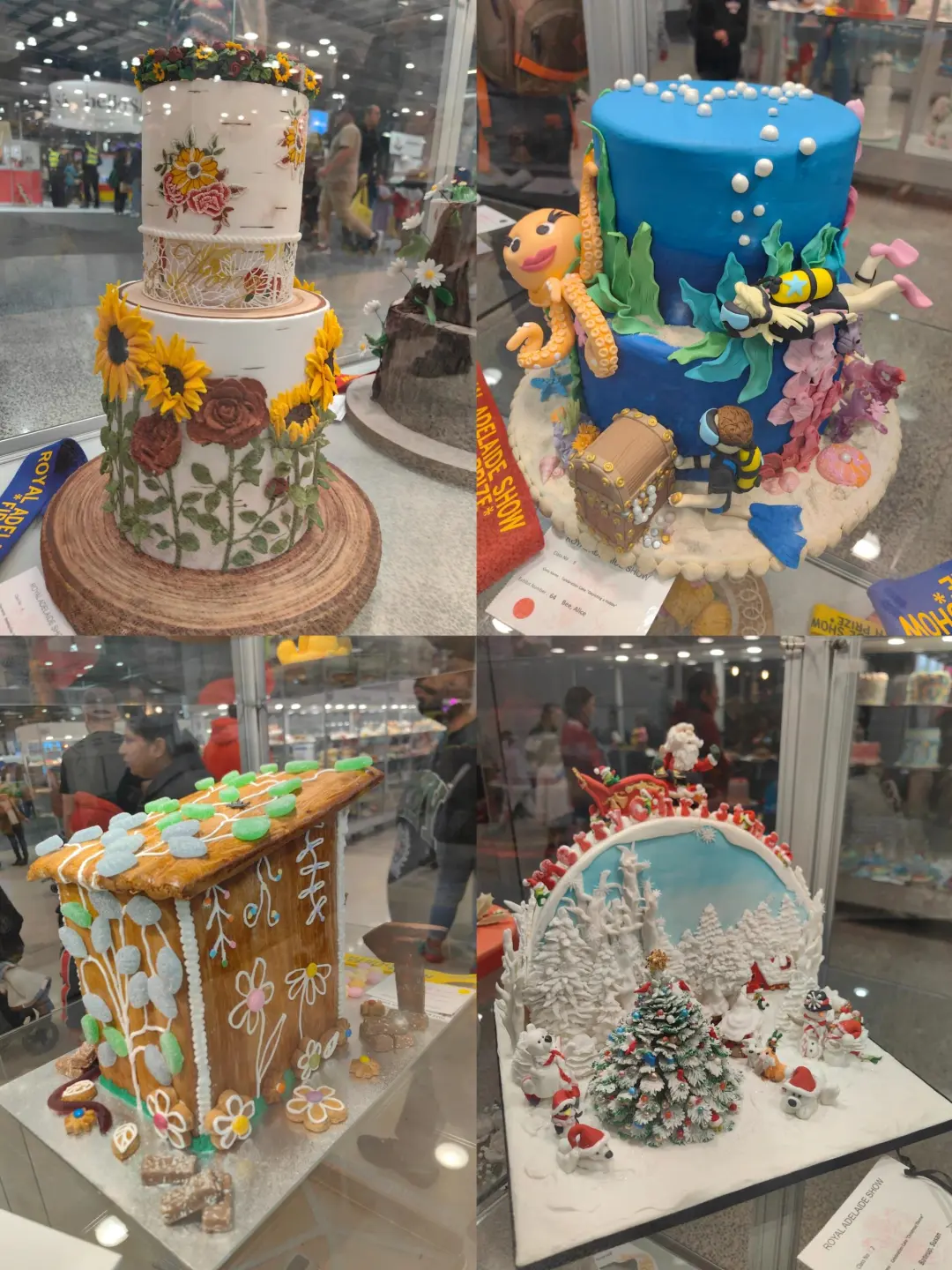 阿德莱德皇家展览会门票五折优惠！