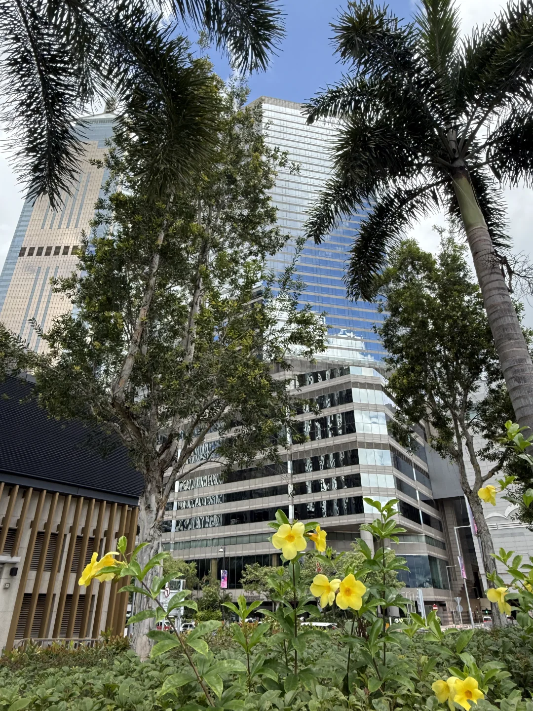 香港之行 | 会展站到了✨