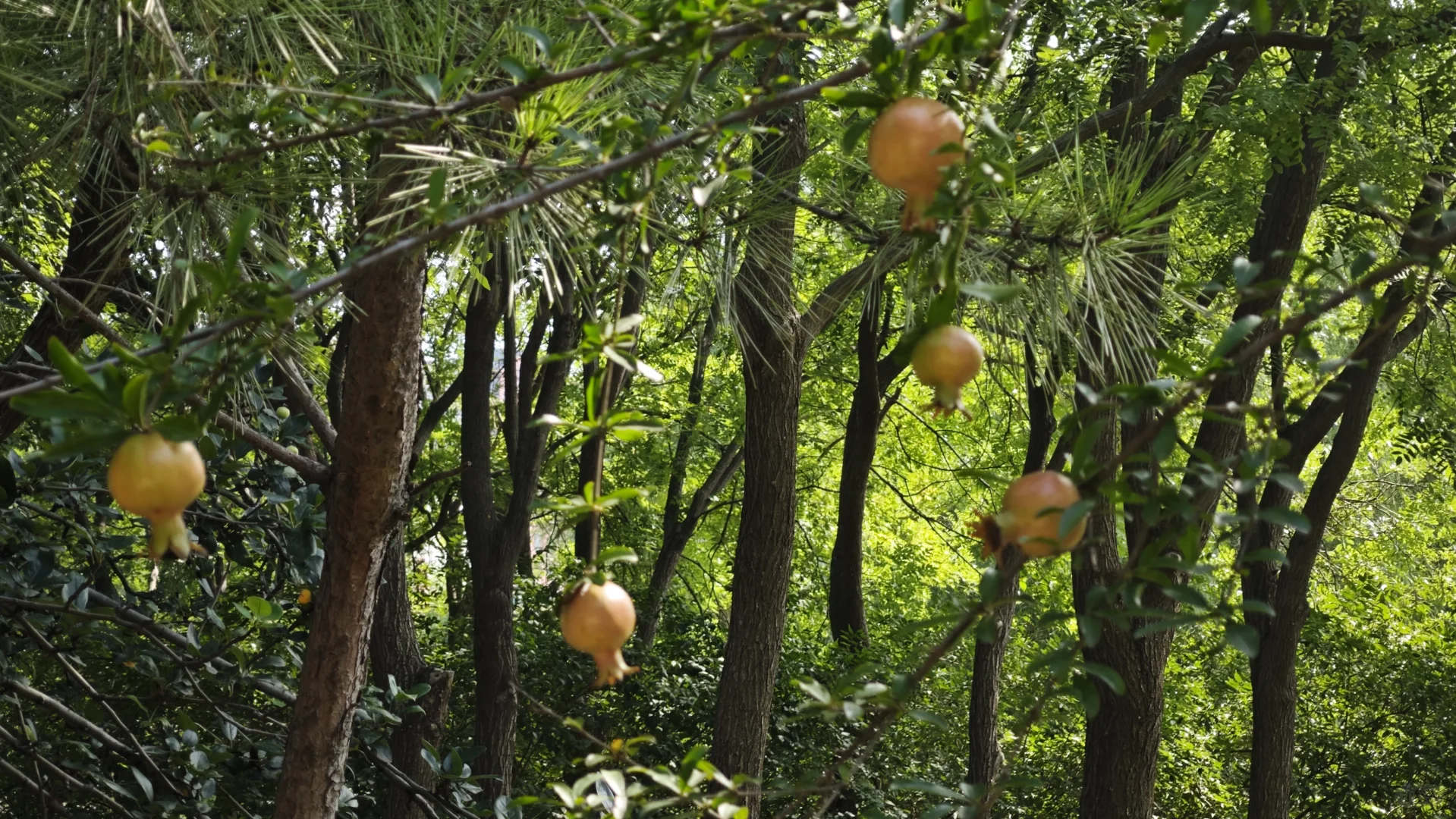 上合结束了，梅江会展中心能去了么？