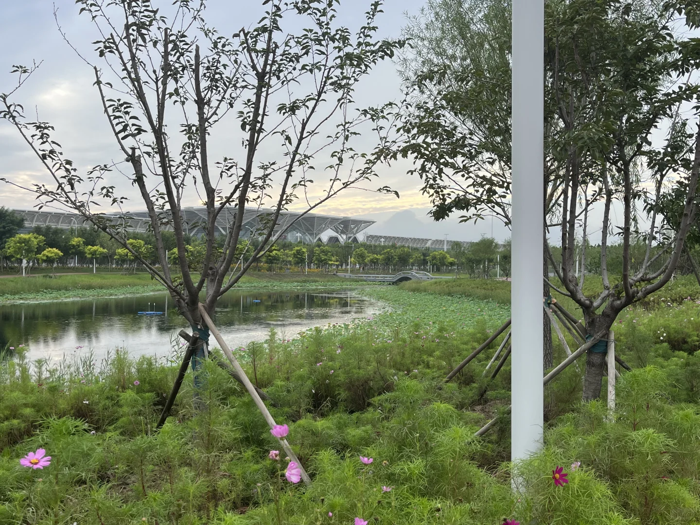 天津津南遛娃好去处，还有谁不知道？