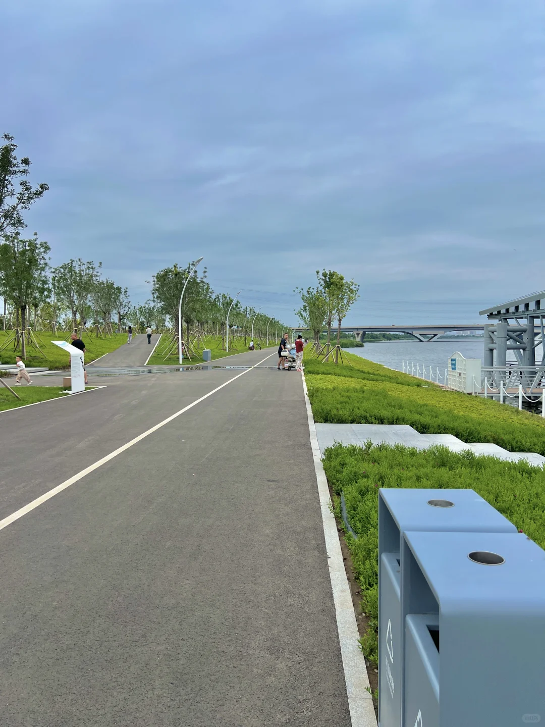 国展生态公园满眼?码头 海鸥 荷花?娃超爱