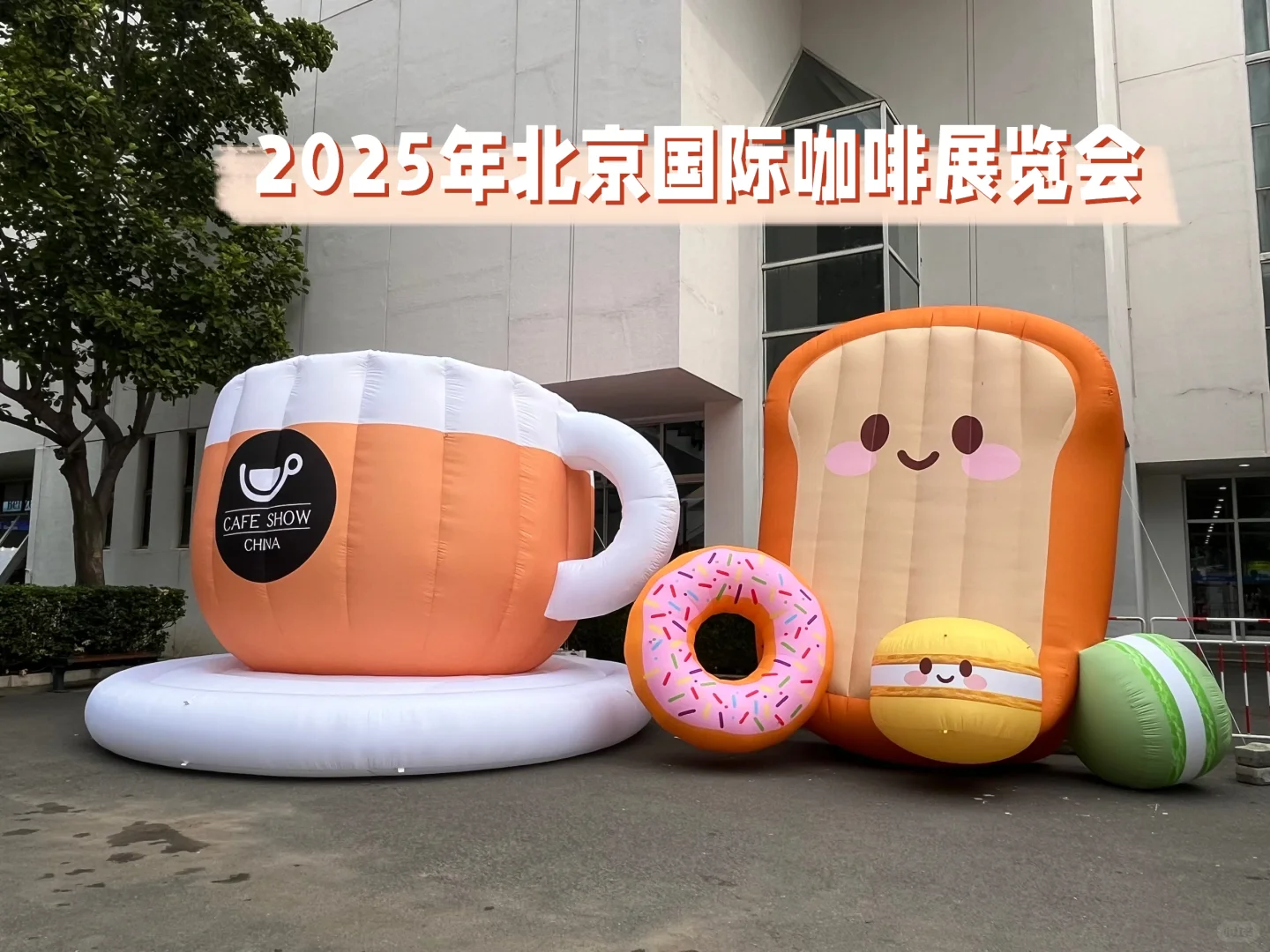 2025年北京国际咖啡展览会