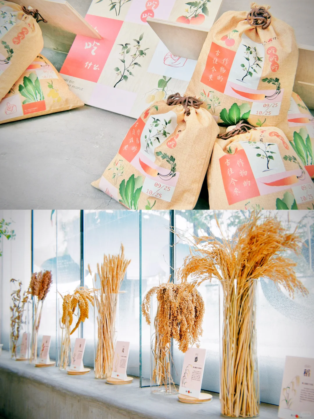 『古人吃什么』又做了一个展