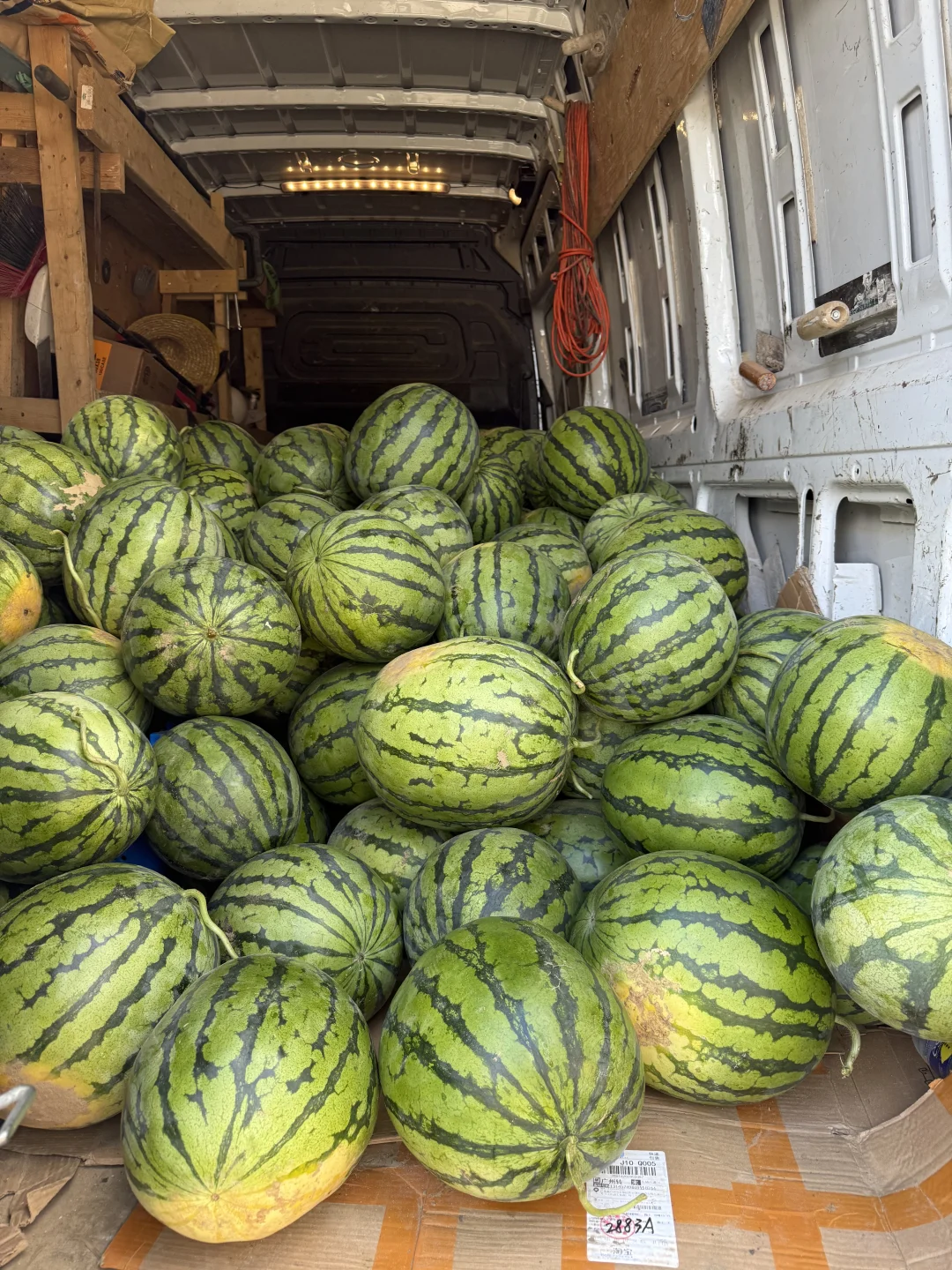 ??多伦多农场采摘