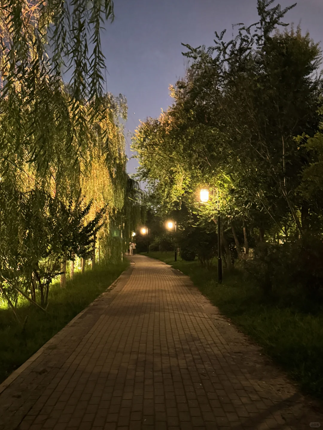 梅江公园⛲️梅江会展中心附近的宝藏公园！