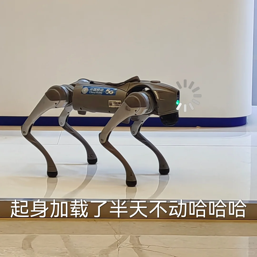 04大二｜上合前期分论坛志愿者