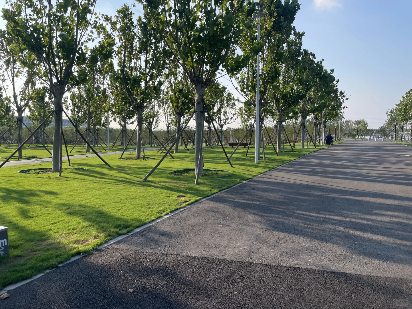 谁还不知道津南海河边美成这样！遛娃宝地！