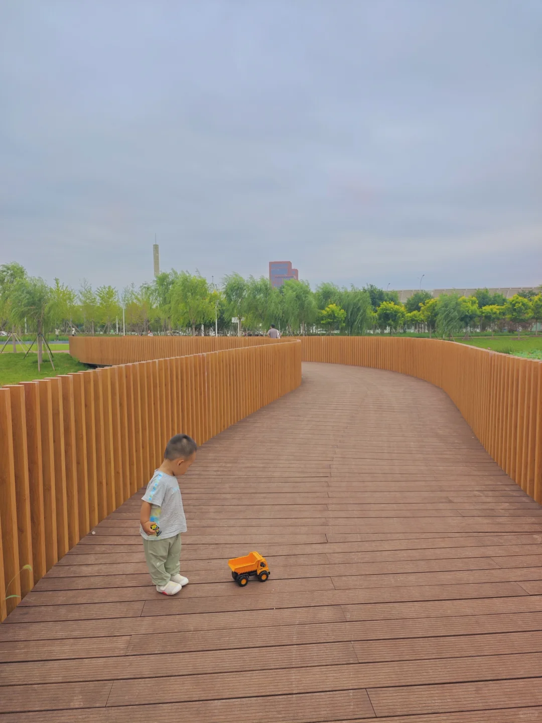 国展生态公园满眼?码头 海鸥 荷花?娃超爱