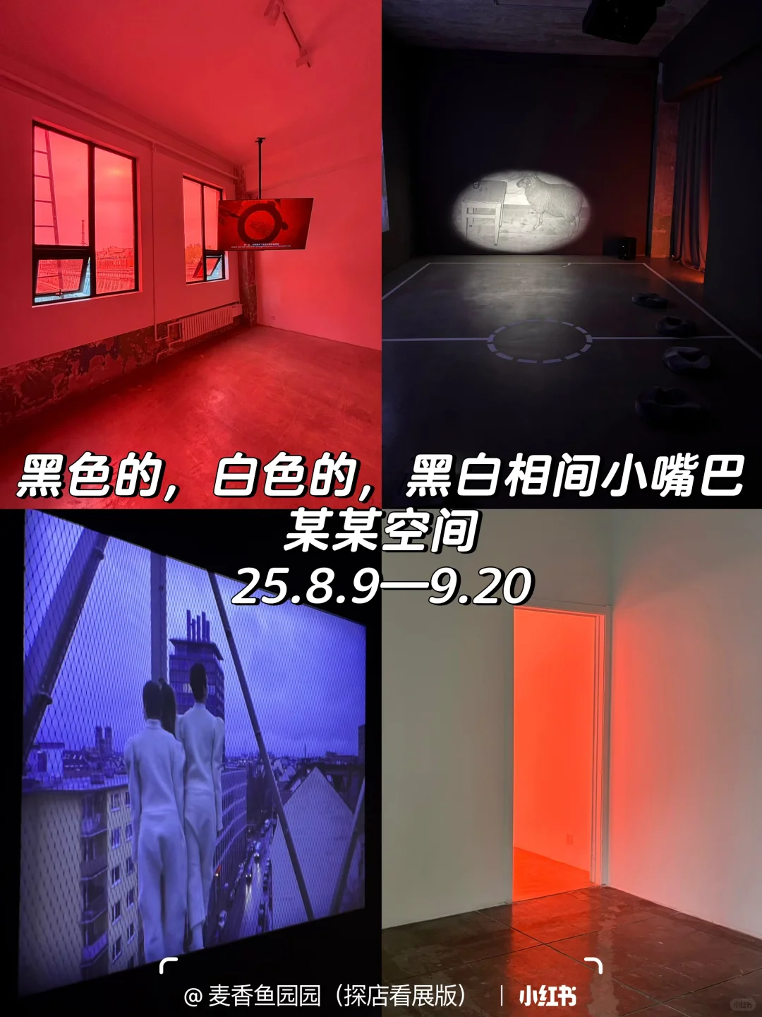 798艺术区9月免费展20+个大合集❗️附地图?️