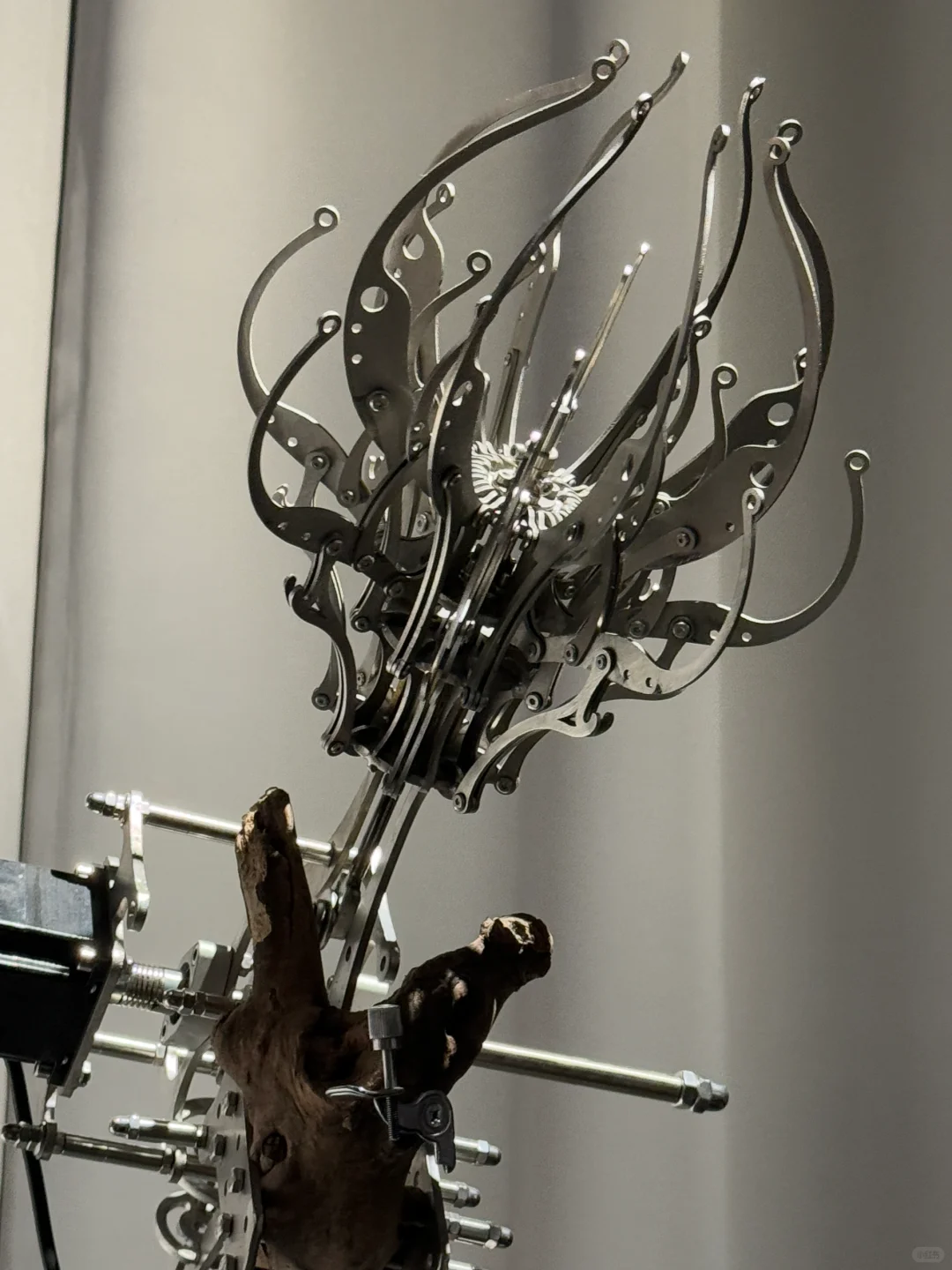 国美毕业展，被这几个神作震撼到失语?……