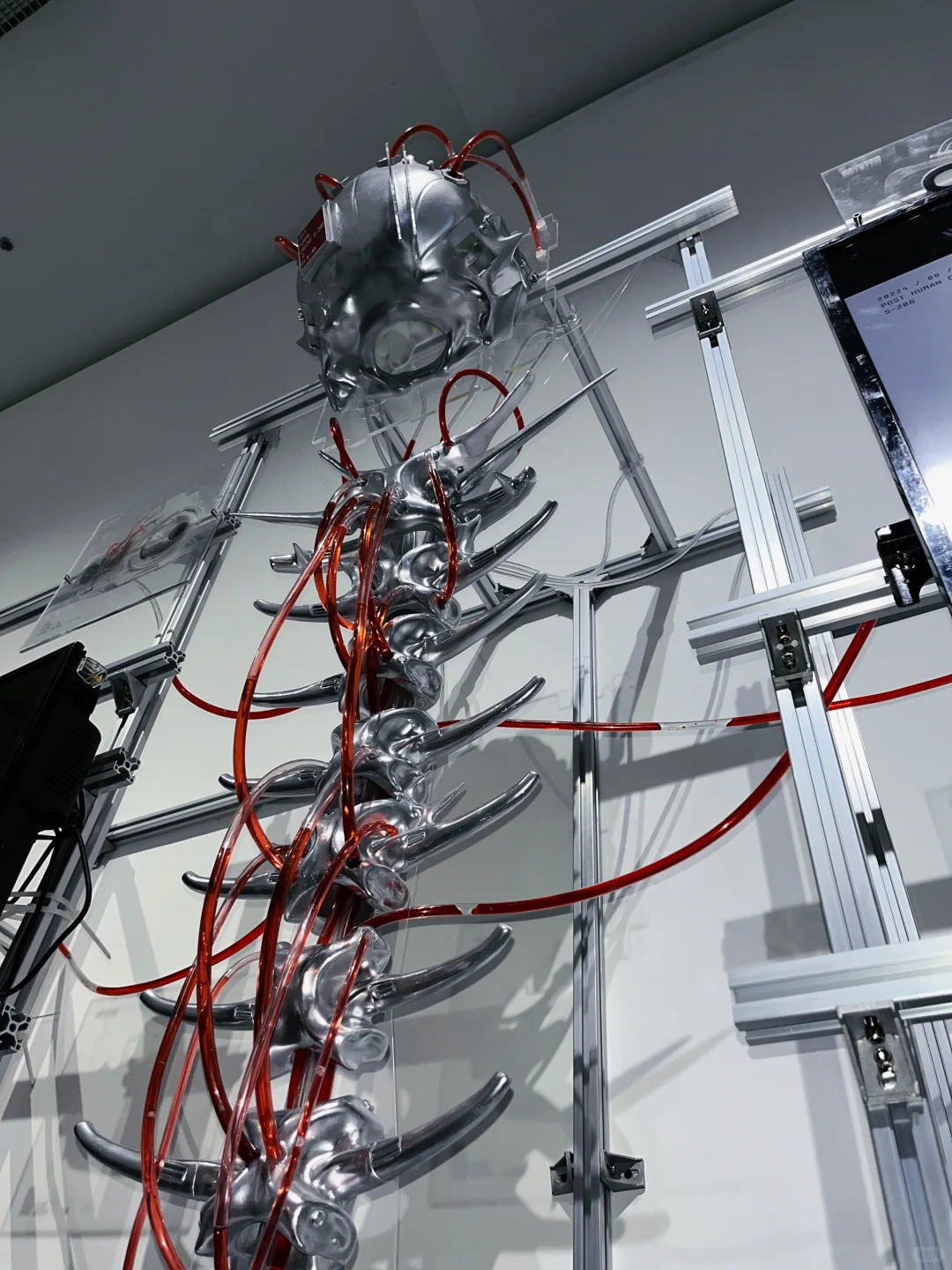 广美毕设｜后人类编码S-206