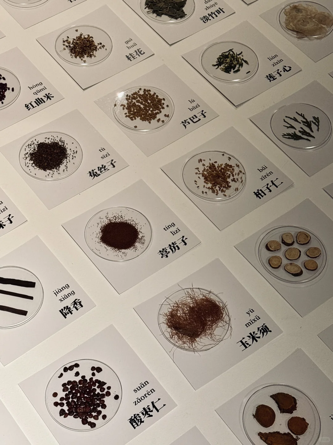 上海看展｜味觉丹青-四时·宋韵