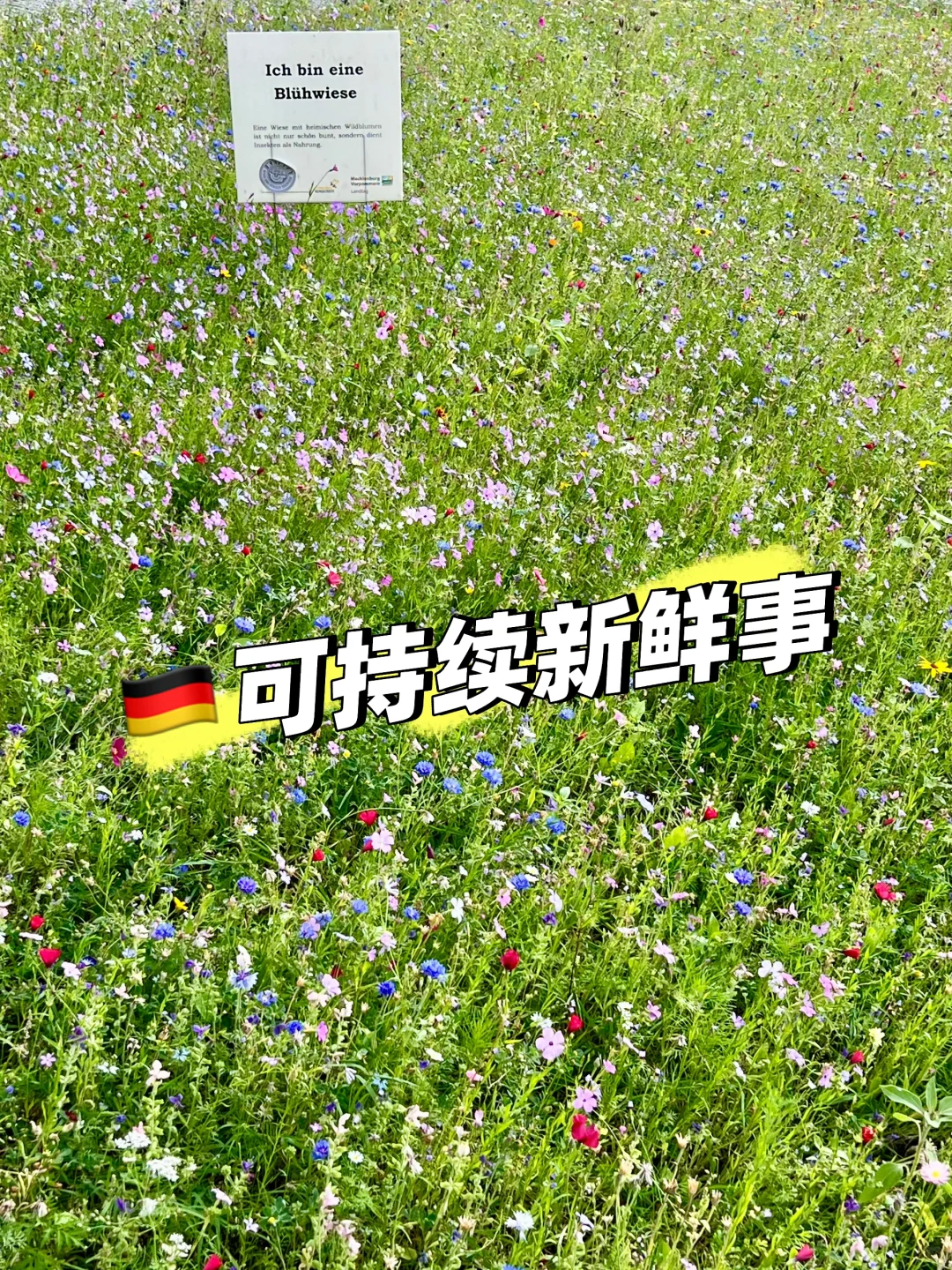 ??可持续发展 - 展会・职位・读博机会