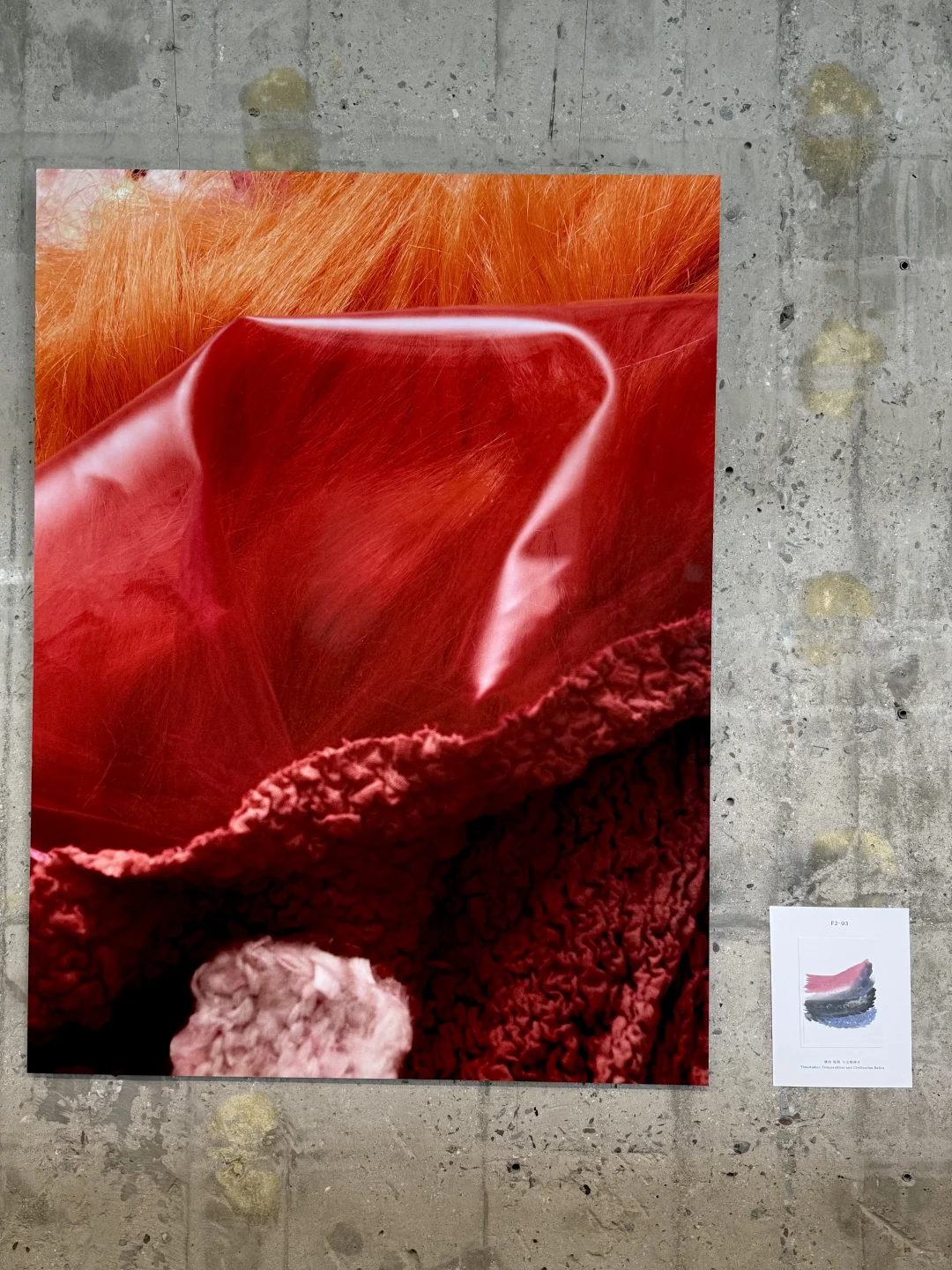 北京三里屯。。。果然牛?的展都免费！！！