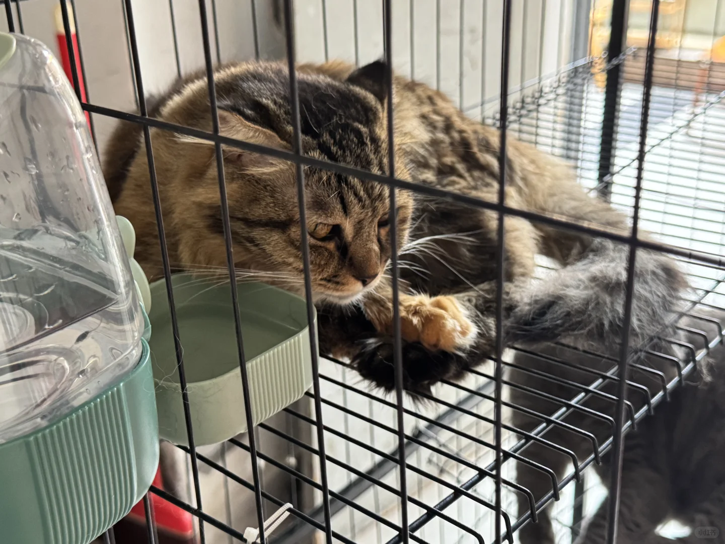 《电科干饭地图》第五站-齐齐哈尔家庭烤肉