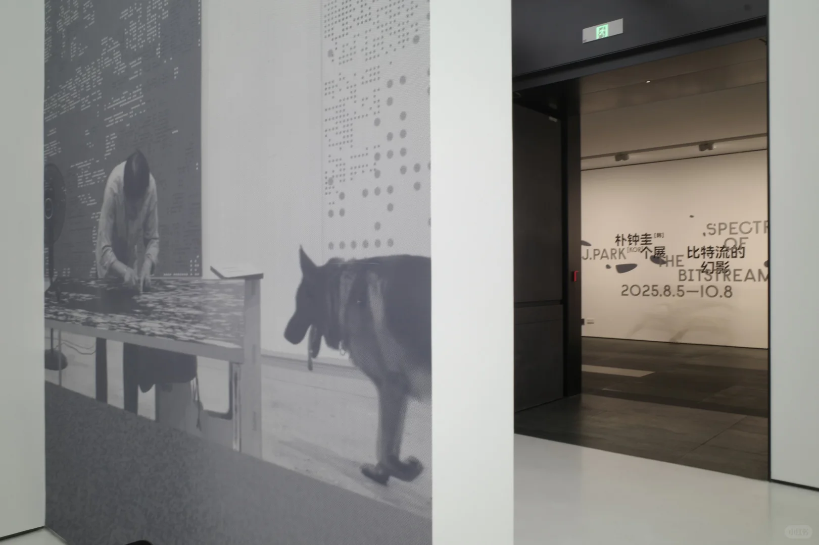 广州新展｜终于去了趟美术馆，太绝了！?