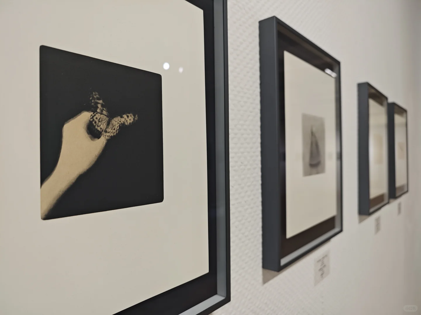 策展人plog｜毕业后完成第一个展览（布展花絮