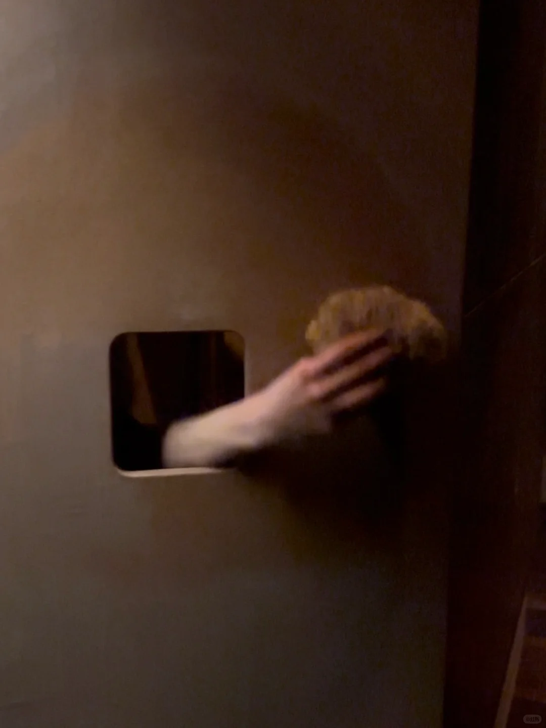 Aesop｜米兰设计周