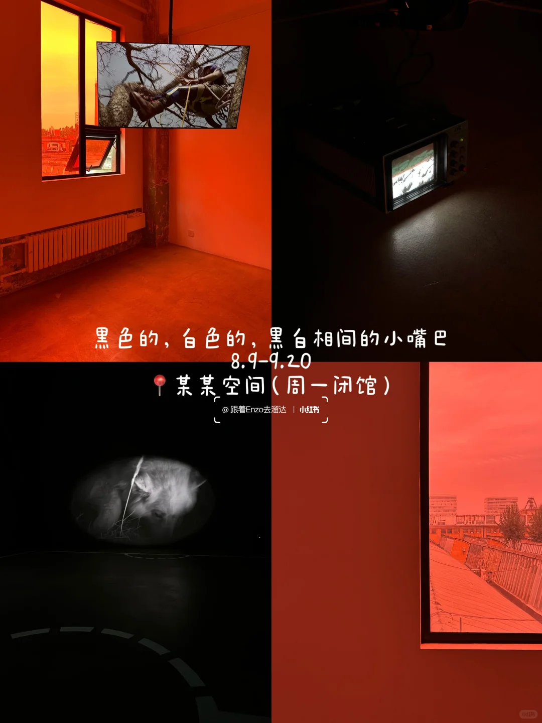 北京九月哪些展值得看