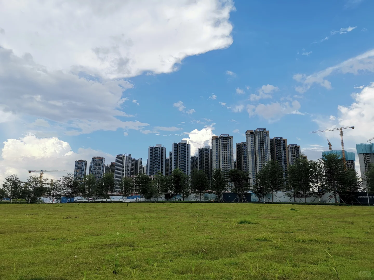 这里是沙井？请叫我前海！