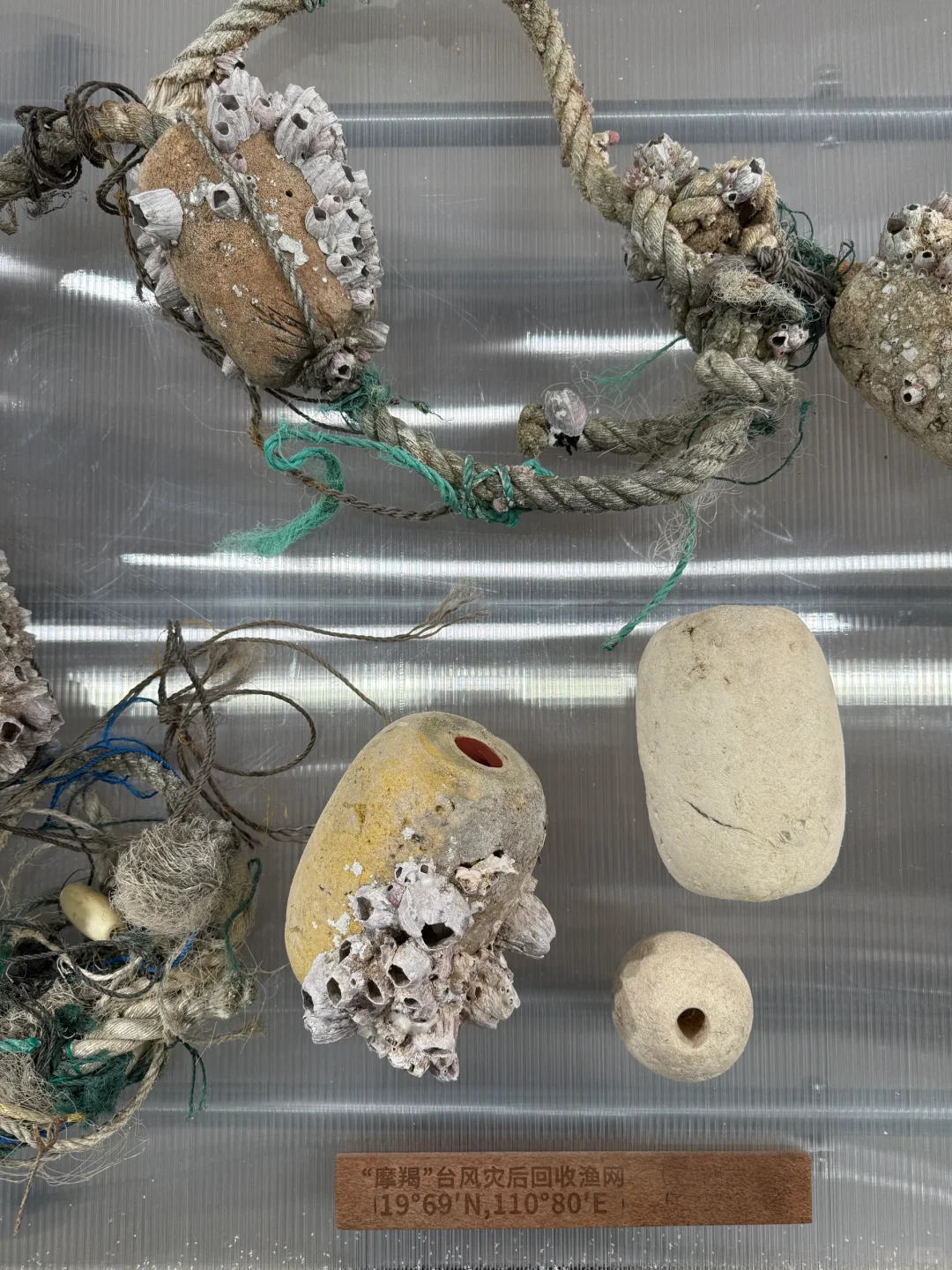 大几万人查看的帖子又来啦?