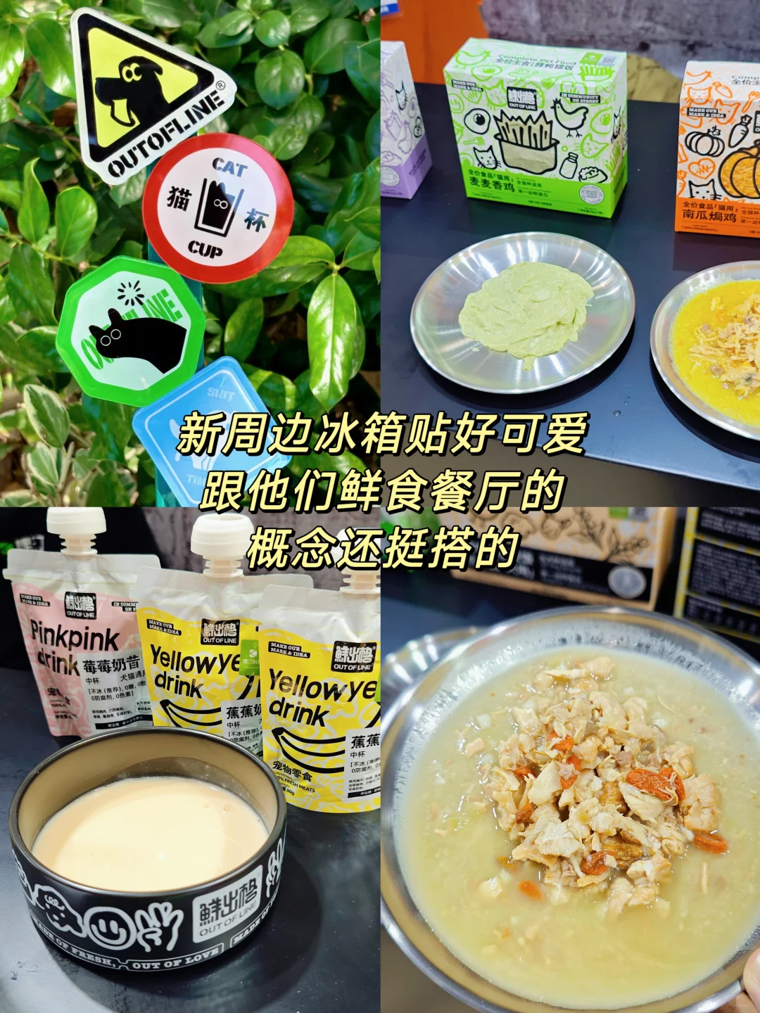 2025亚宠展超全逛展攻略分享