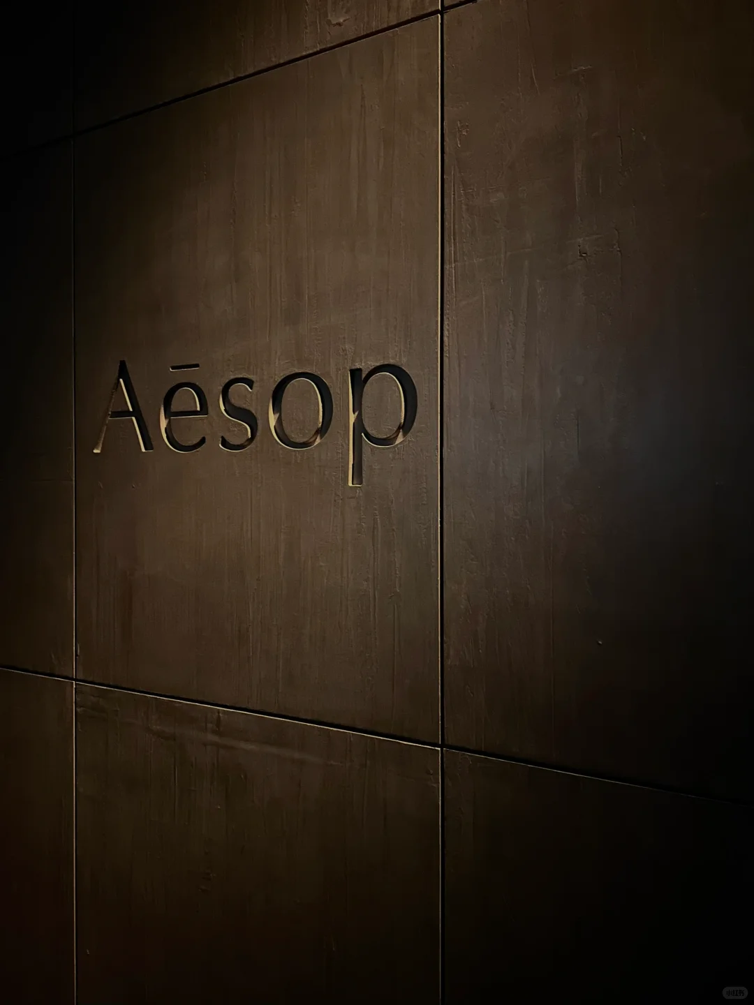 Aesop｜米兰设计周