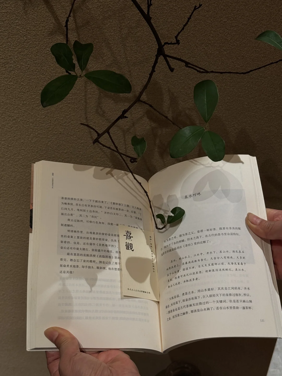 （广州新展）美丽器皿空间