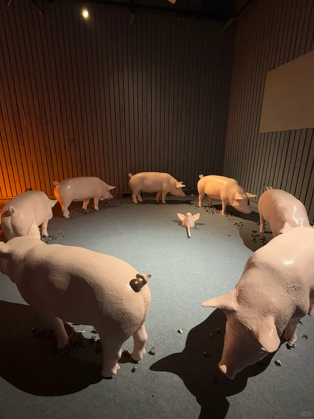 国美毕业展，被这几个神作震撼到失语?……