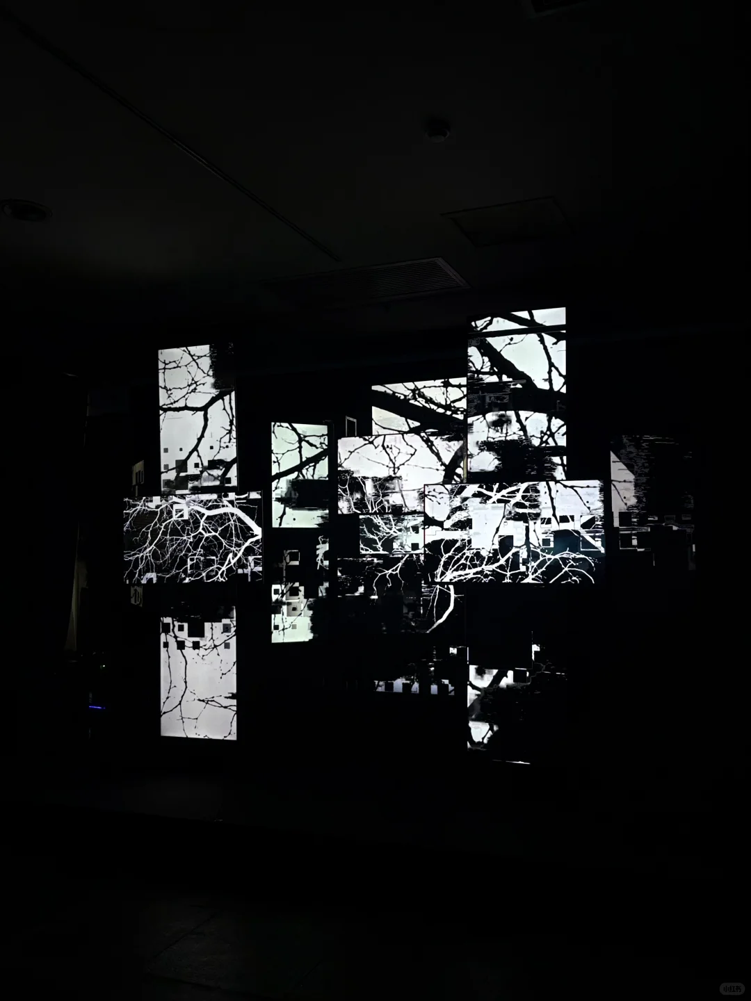 广州展览｜广美毕业展2025第二期终于来啦！