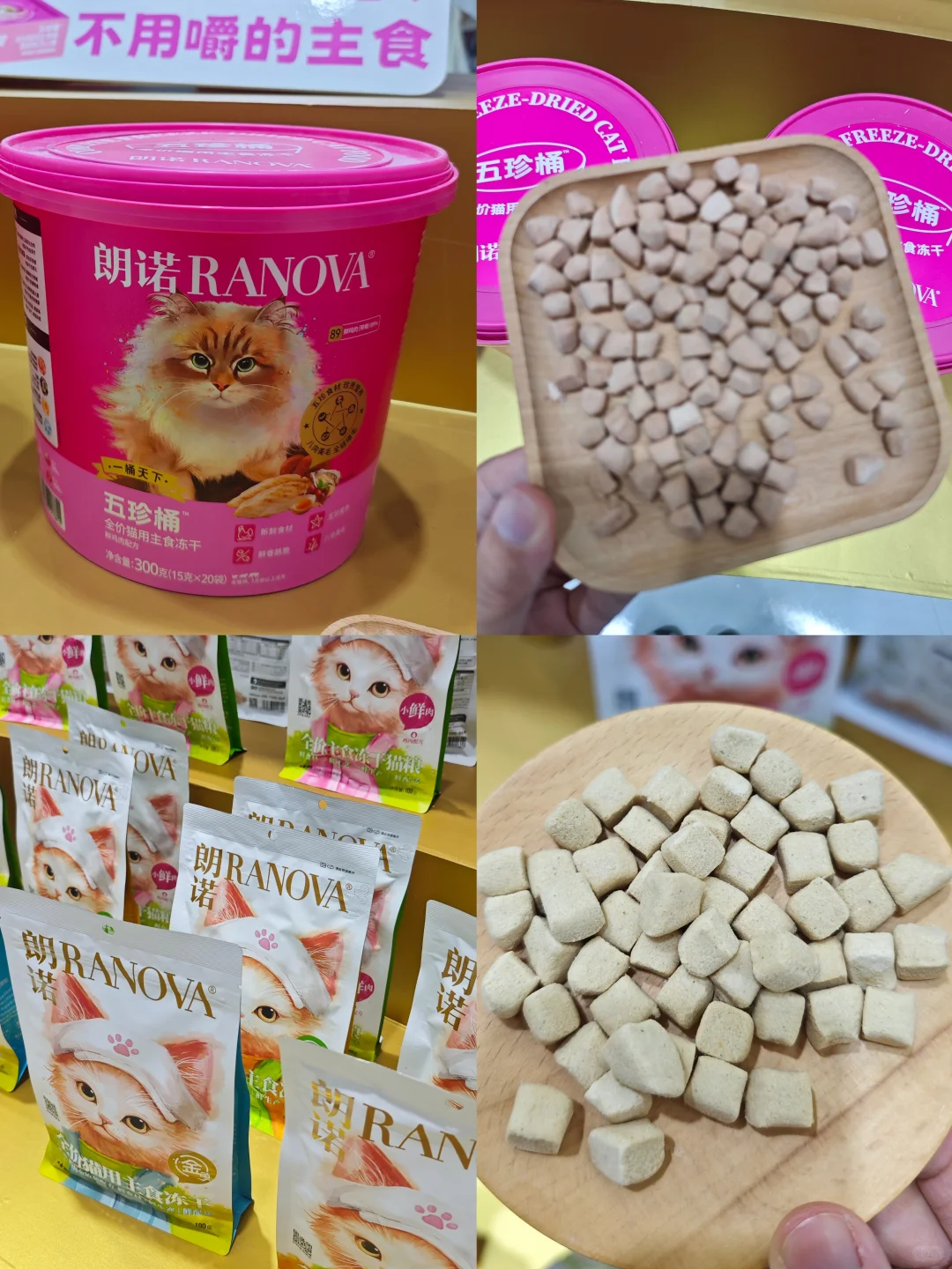 2025亚宠展超全逛展攻略分享