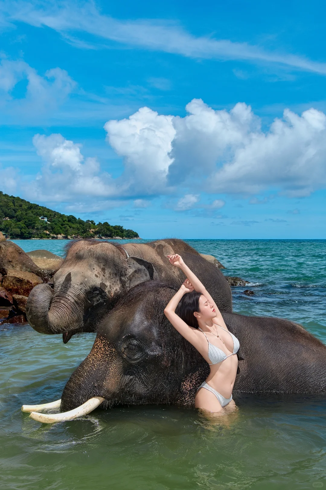 普吉岛旅拍|被沙滩小象治愈的海边浪漫??