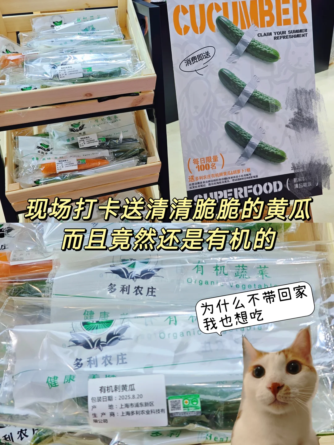 2025亚宠展超全逛展攻略分享