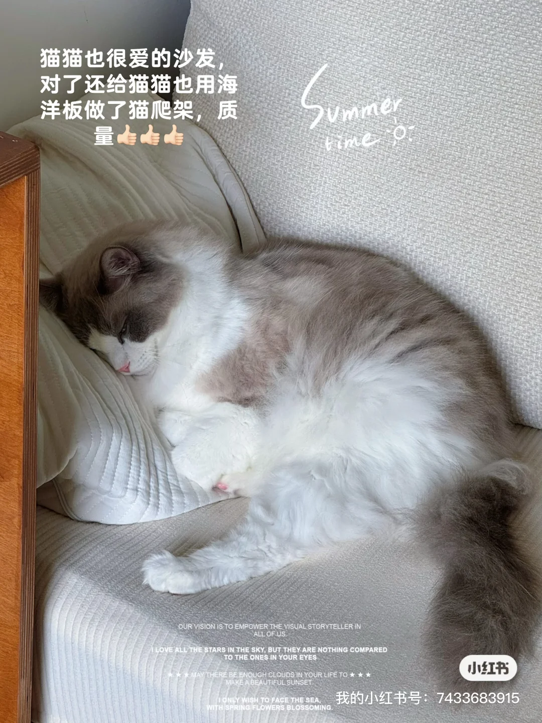 深夜写下这篇笔记（感谢关注我的每一位朋友）