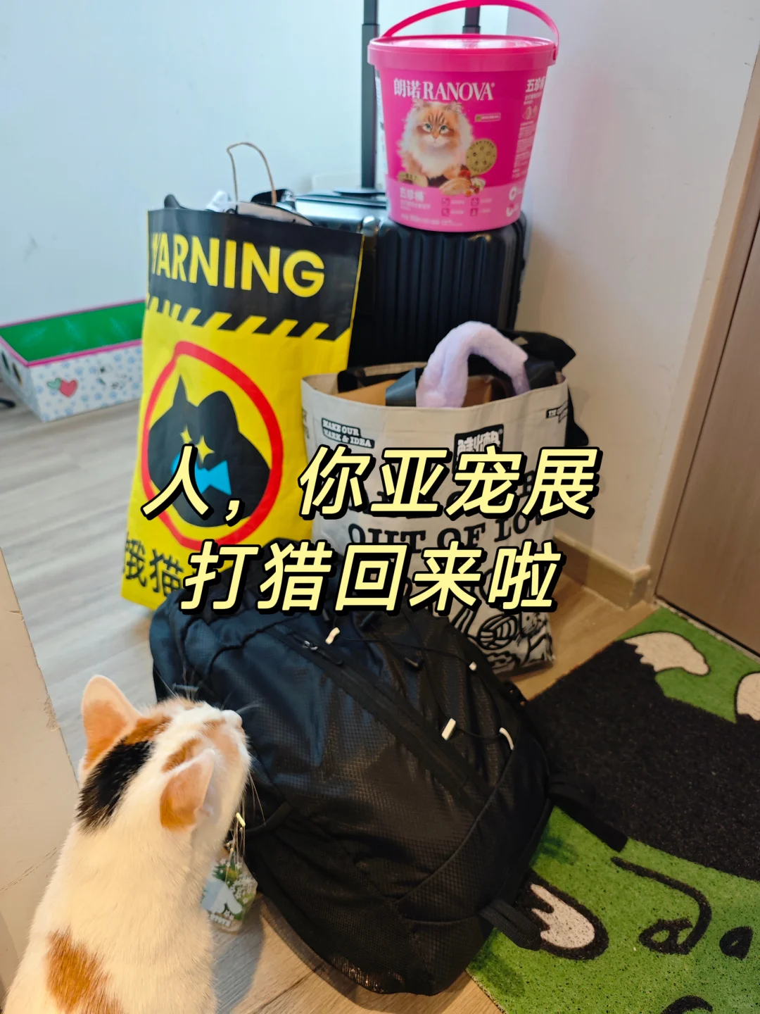 2025亚宠展超全逛展攻略分享