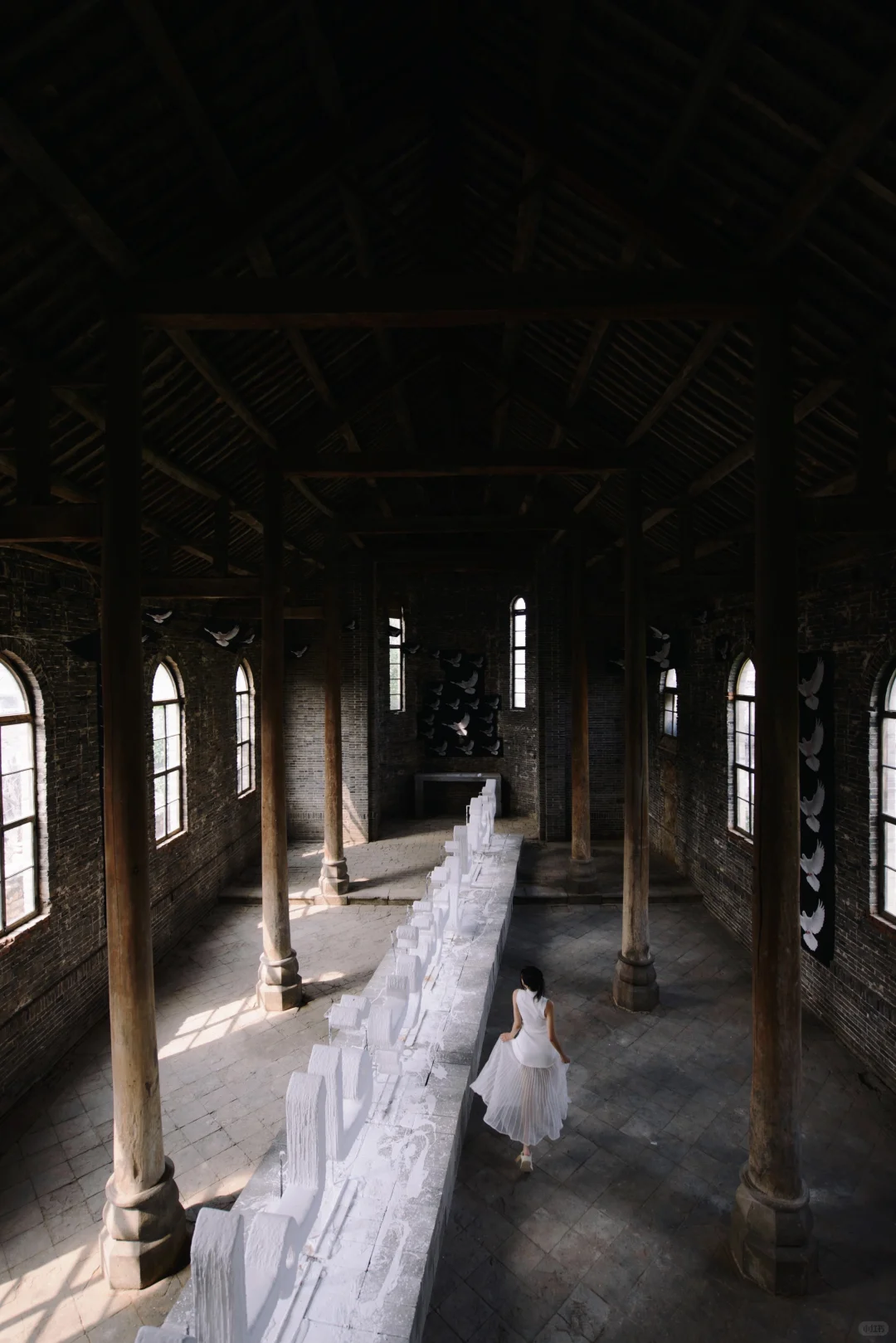 石家庄艺术展拍照 这么近 那么美