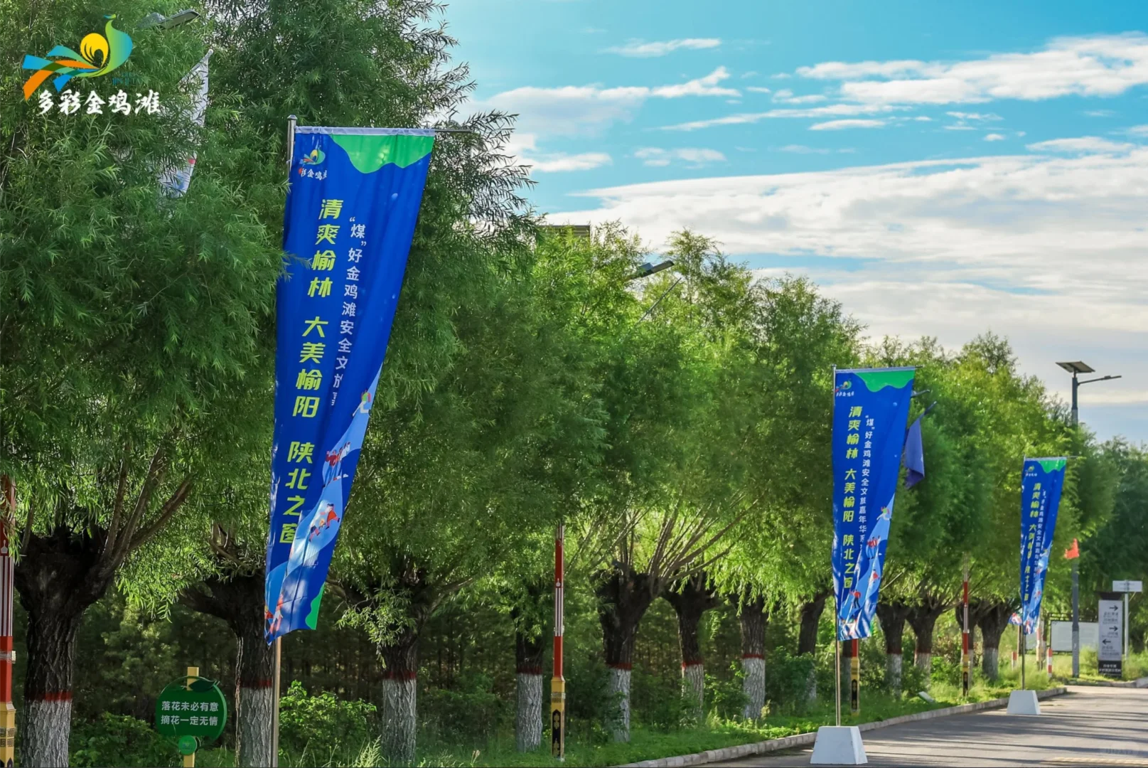 【广告人私藏✨｜这场布置也太绝了吧！】