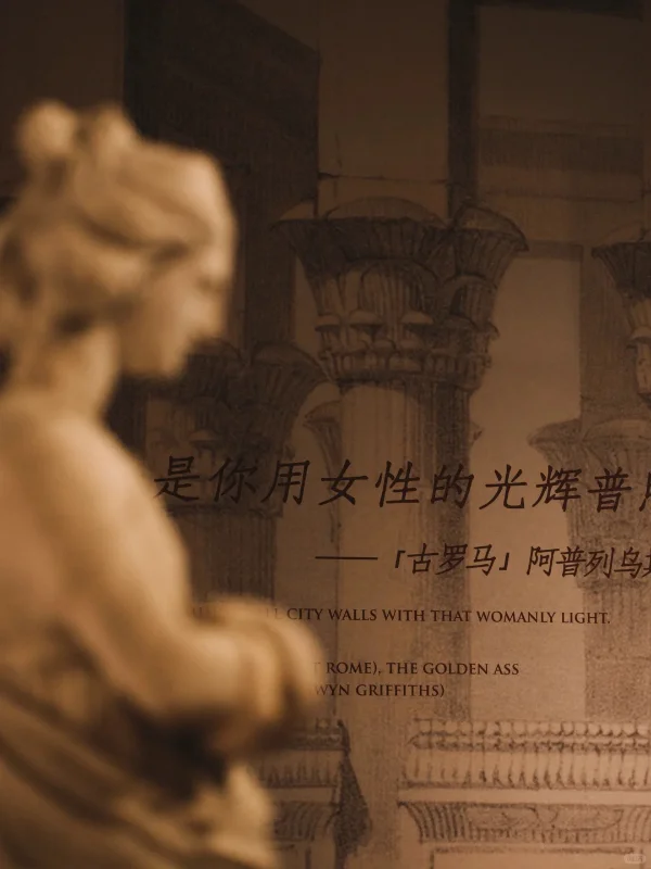 策展随记丨展览的物与空间