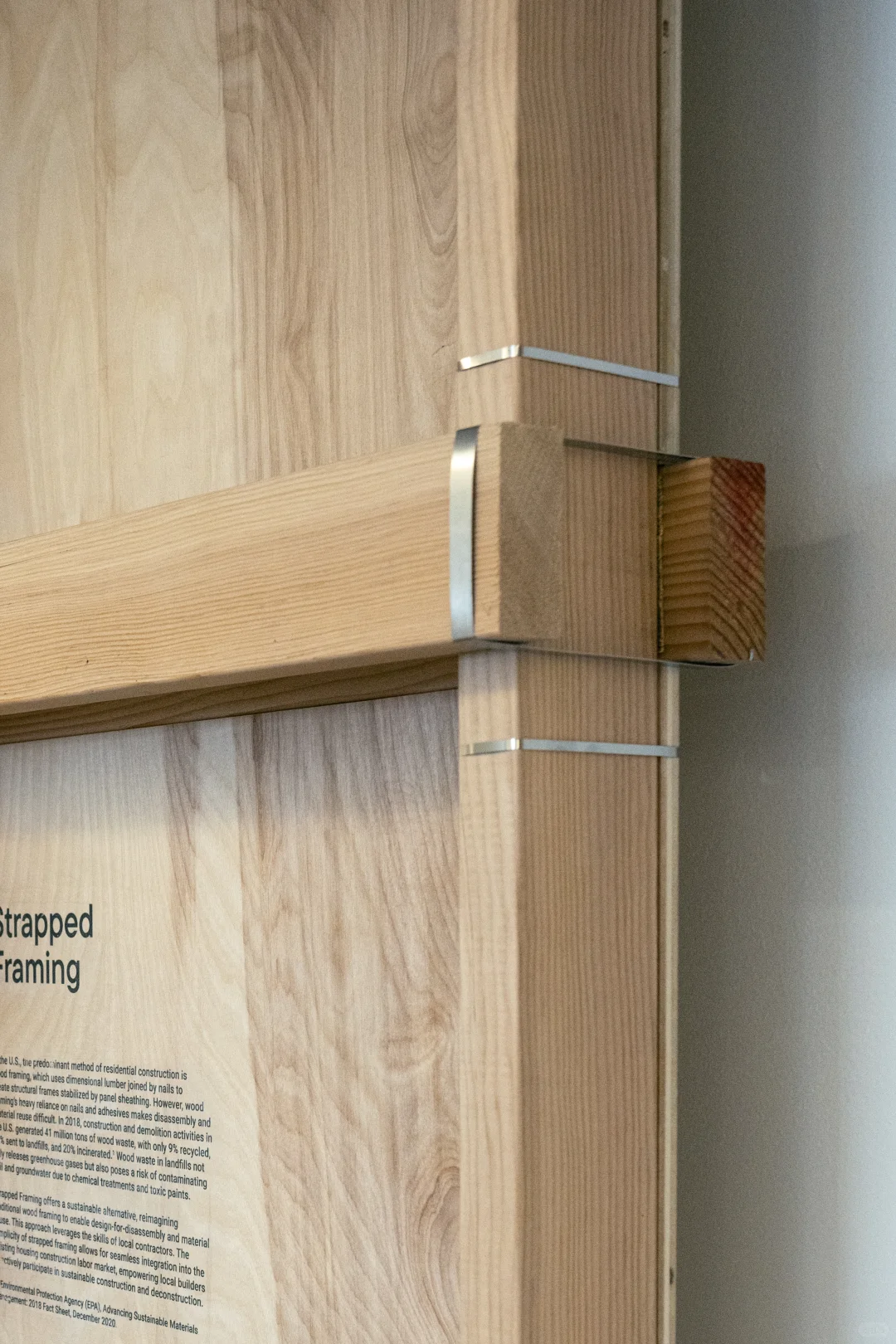 我在哈佛做的小展览