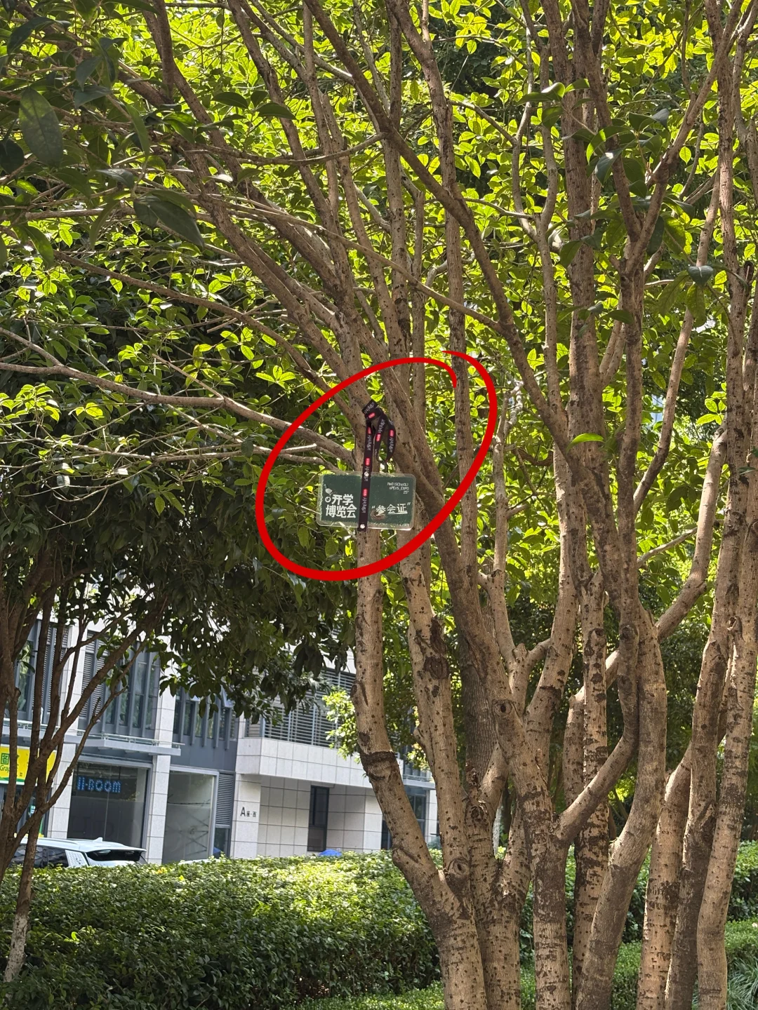 笑死，也是让小?攀上高枝了！