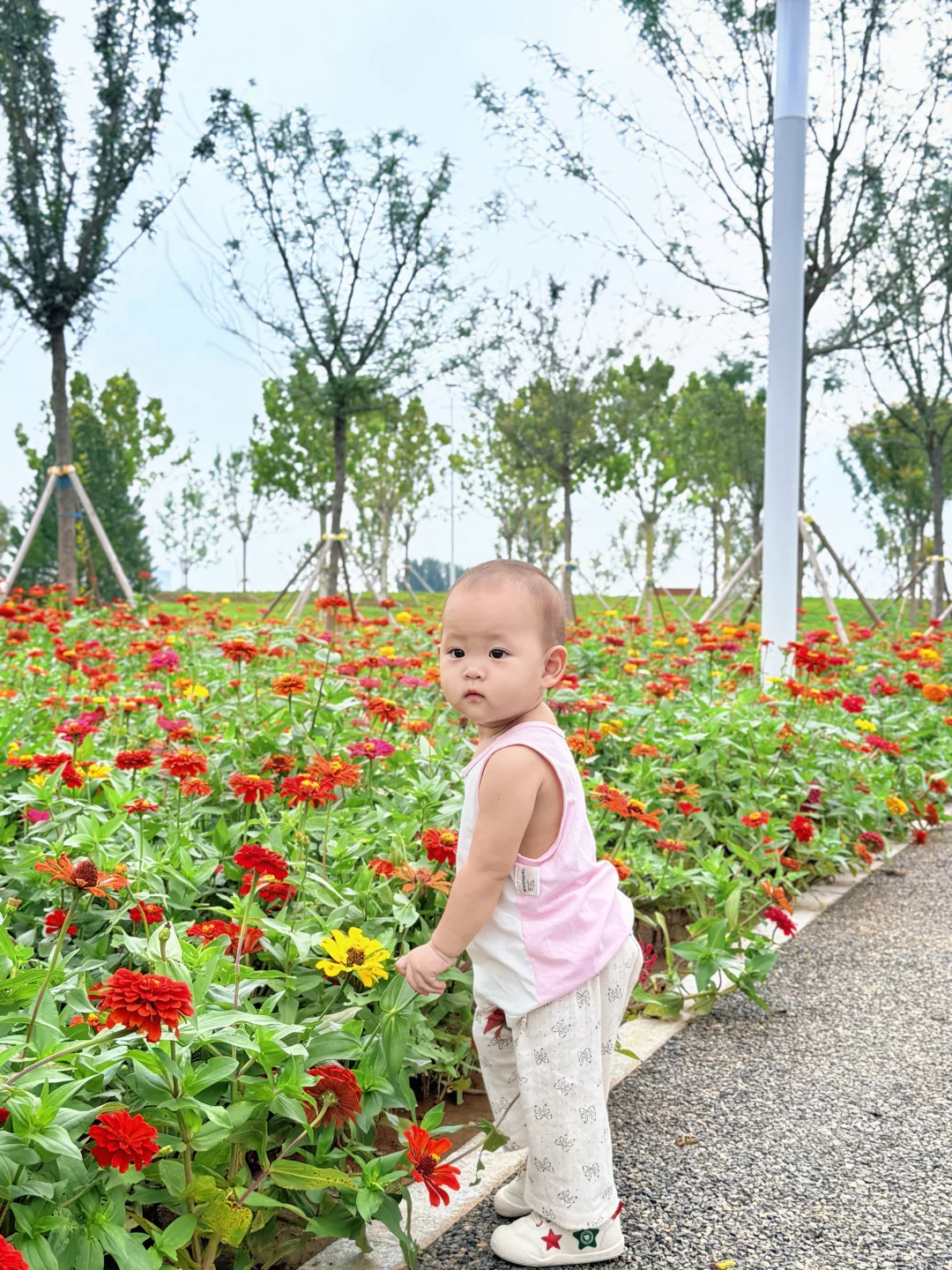 天津遛娃|国家会展码头亲子骑行遛娃好去处