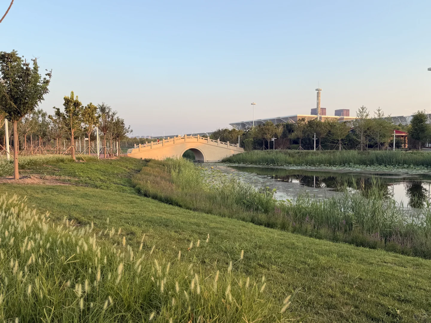 天津遛娃|国家会展码头亲子骑行遛娃好去处