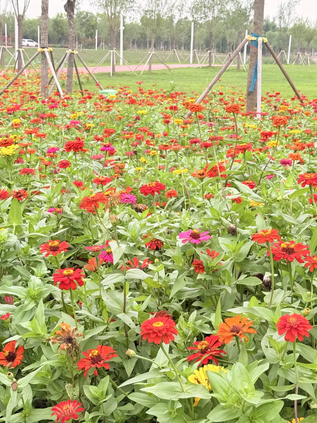 天津遛娃|国家会展码头亲子骑行遛娃好去处