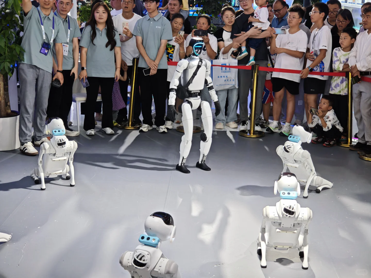 国际大数据产业博览会来啦！