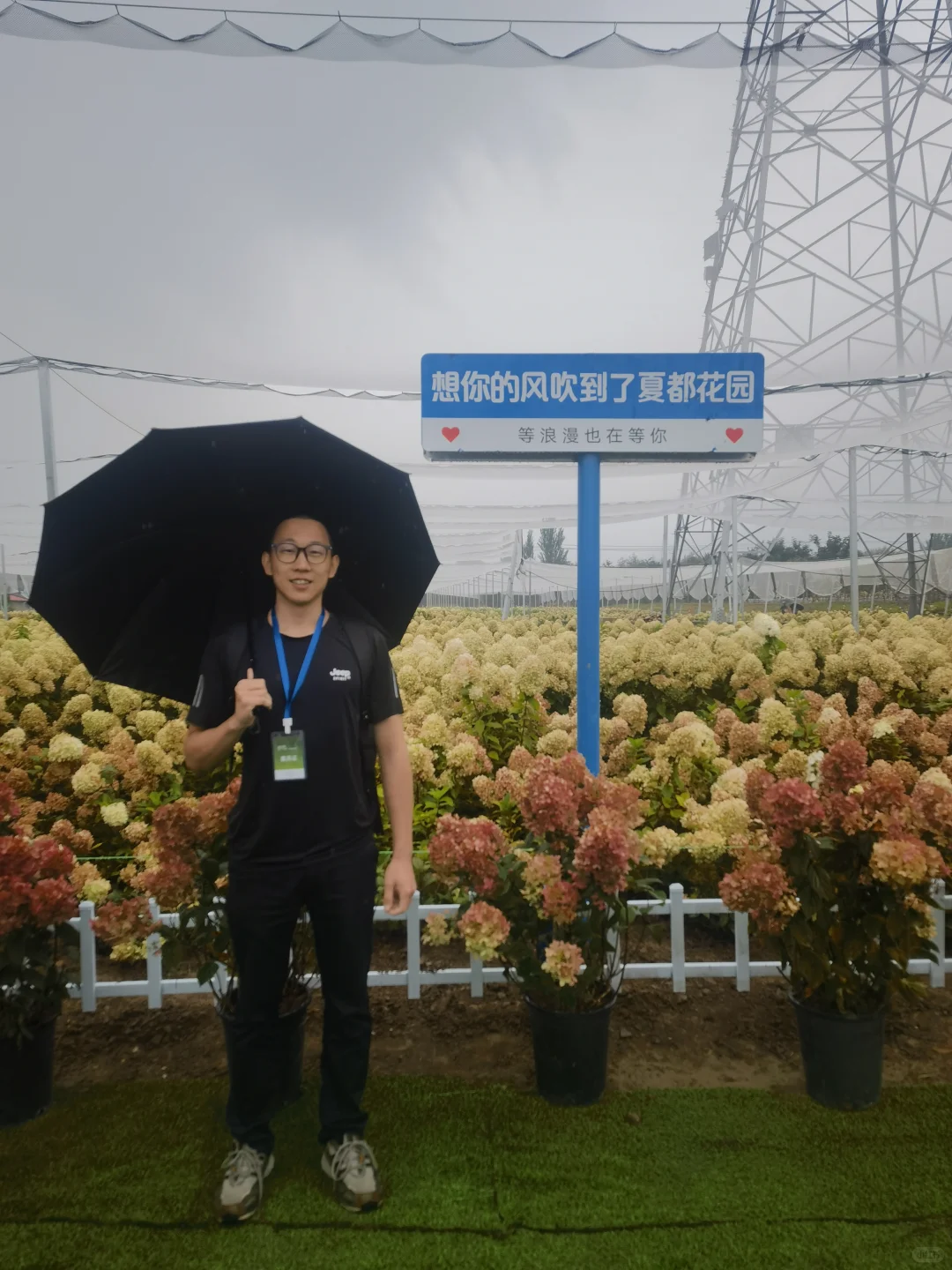 2025北京风沙源绣球推介会